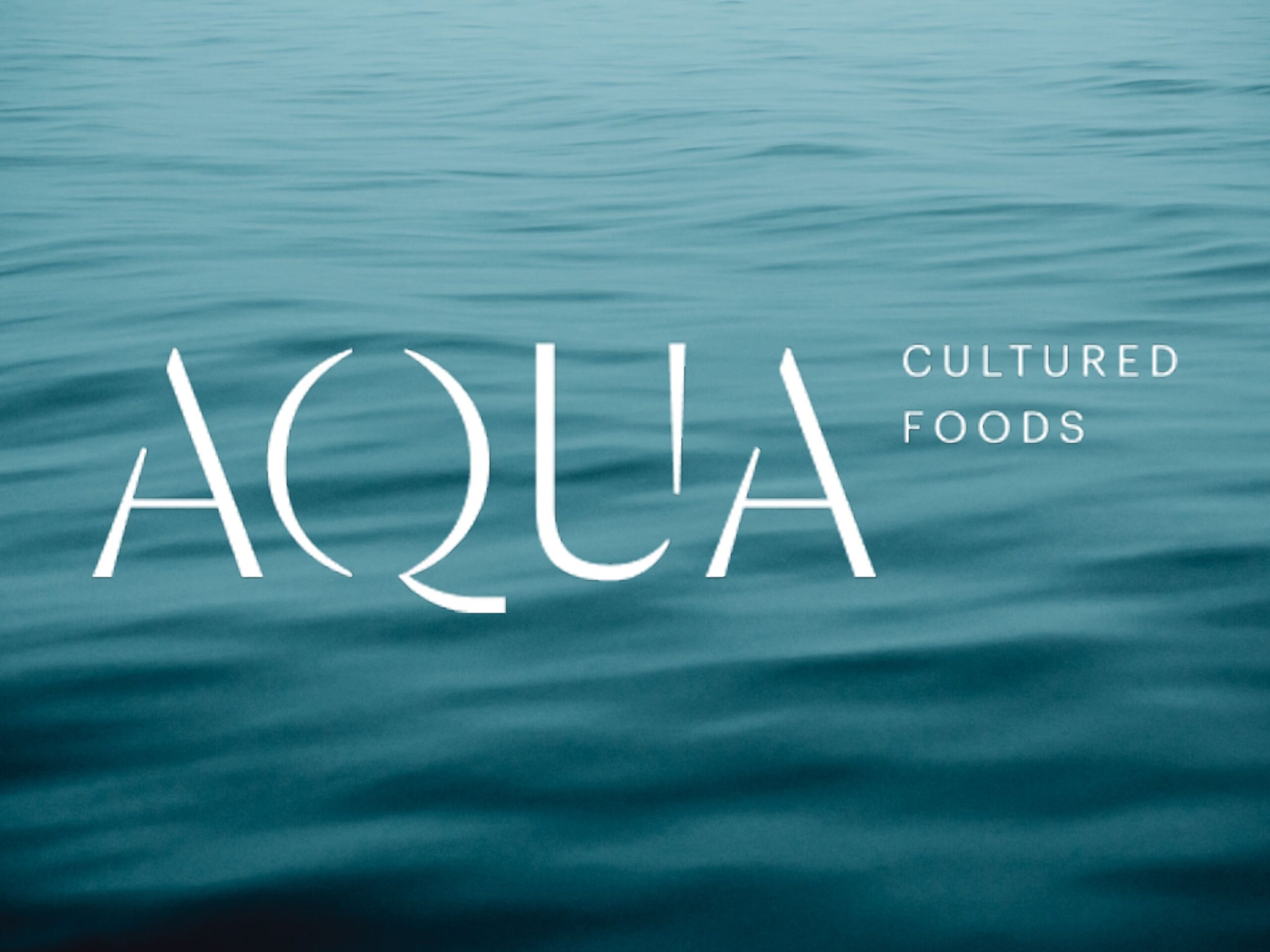 Podcast with Matt Newberg: Building the Future of Alt Seafood